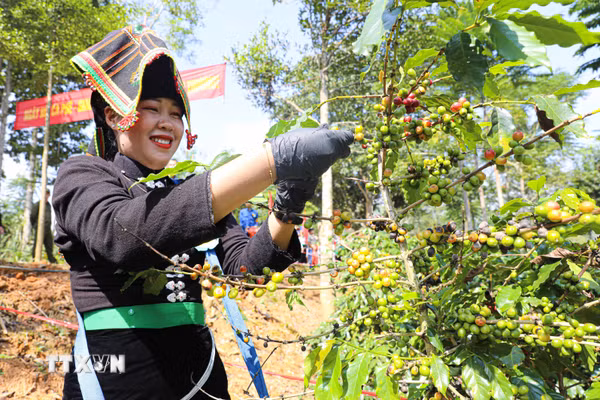 Điện Biên tăng tốc quý 4 với mục tiêu tăng trưởng gần 14%