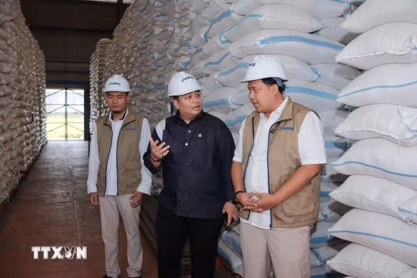 Indonesia thu mua hơn 4 triệu tấn gạo trong nước, vượt mục tiêu cả năm
