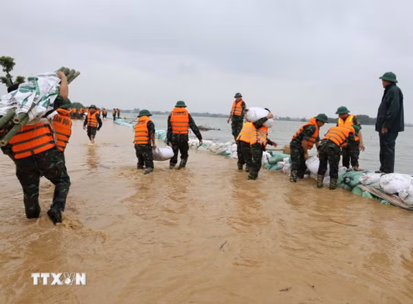 Nước sông Bùi dâng cao gây tràn đê, các xã ở Hà Nội khẩn cấp ứng phó