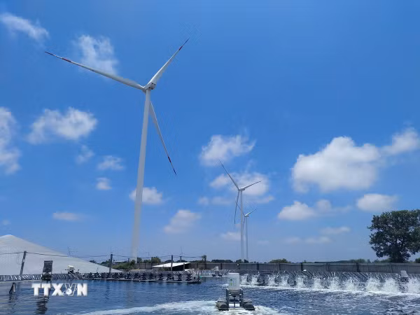 Vĩnh Long tăng tốc trong quý 4, hướng tới mục tiêu tăng trưởng 10%