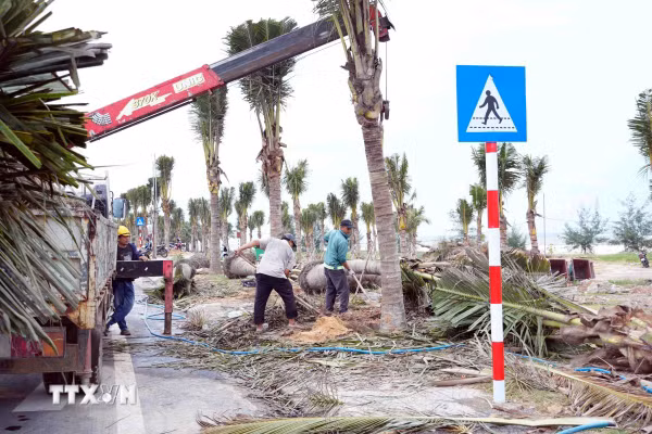 Quảng Trị tổ chức lại không gian, chỉnh trang và phát triển du lịch biển