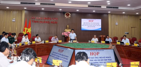 Khắc phục "thẻ vàng" IUU: Quảng Ngãi ra thời hạn hoàn thành cài đặt eCDT