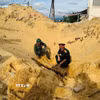 Với sự hỗ trợ của Bộ Chỉ huy Quân sự tỉnh Quảng Trị, lực lượng chức năng tiến hành khảo sát, xử lý di dời an toàn quả bom theo đúng quy định. (Ảnh: TTXVN phát)