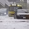 Ngập lụt sau mưa lớn tại Nagoya, Nhật Bản ngày 8/9/2026. (Ảnh: Kyodo/TTXVN phát)