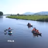 Vùng nước mênh mông dẫn vào rừng ngập nước Bầu Đá. (Ảnh: Tường Quân/TTXVN)
