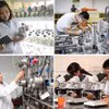 Giải thể Hội đồng Quốc gia về Khoa học, Công nghệ và Đổi mới sáng tạo