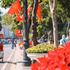 Khu vực Hồ Gươm rực rỡ cờ, hoa chào mừng kỷ niệm 72 năm Ngày Giải phóng Thủ đô 10/10. (Ảnh: Hoàng Hiếu/TTXVN)