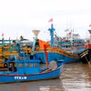 (Ảnh minh họa: Nguyễn Thanh/TTXVN)