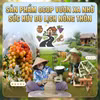 Sản phẩm OCOP vươn xa nhờ sức hút du lịch nông thôn
