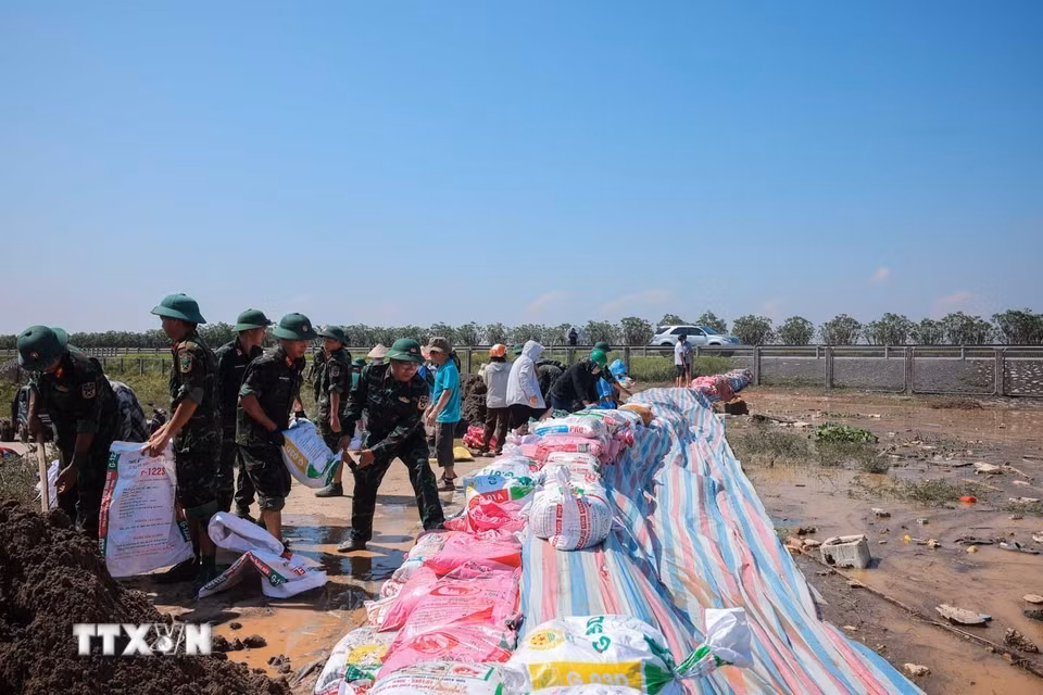 Đê thôn Đoài, xã Tam Giang (Bắc Ninh) đang được gia cố khi nước sông Cầu dâng cao. (Ảnh: Hoàng Hiếu/TTXVN)