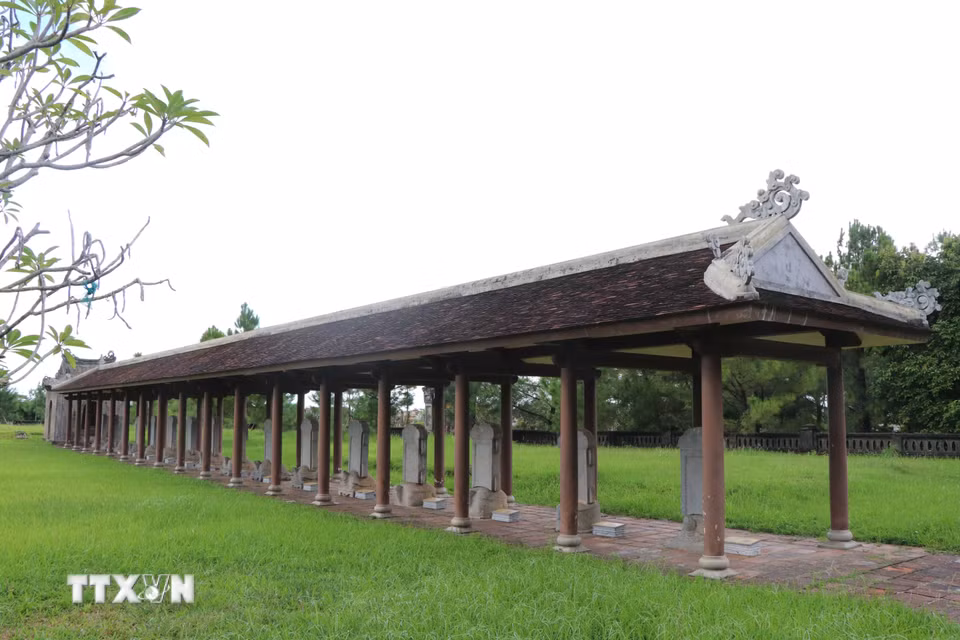Hàng bia Tiến sỹ thuộc di tích Văn Miếu, thành phố Huế. (Ảnh: Nguyên Lý/TTXVN)