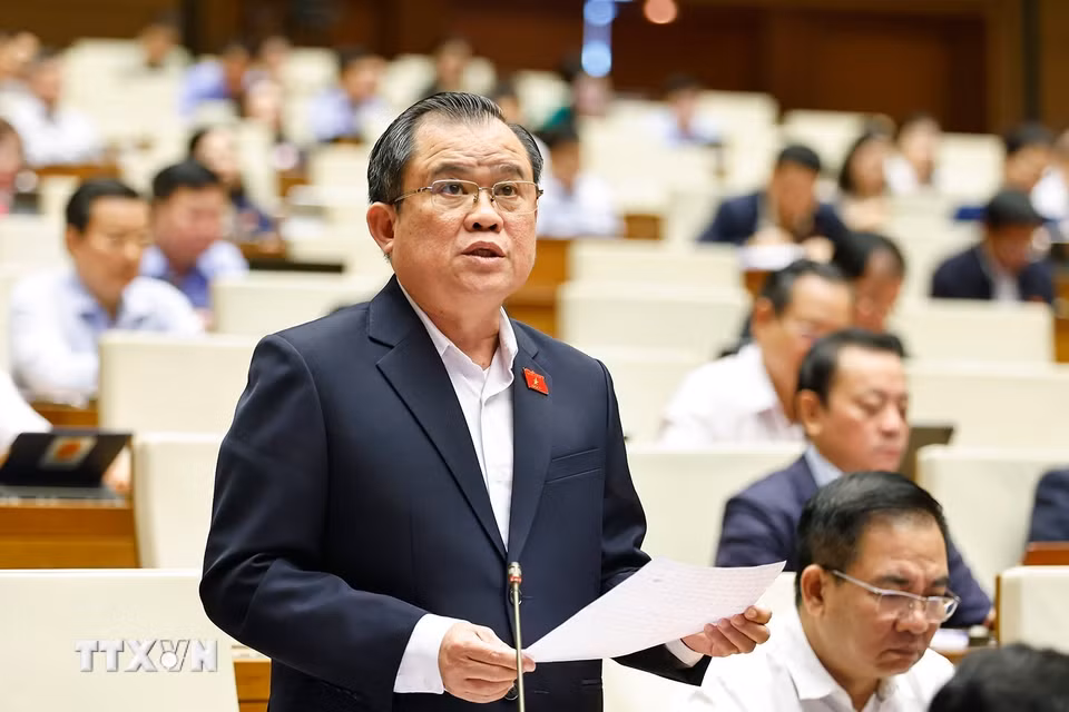 Đại biểu Quốc hội Thành phố Hồ Chí Minh Nguyễn Tâm Hùng phát biểu. (Ảnh: Doãn Tấn/TTXVN)