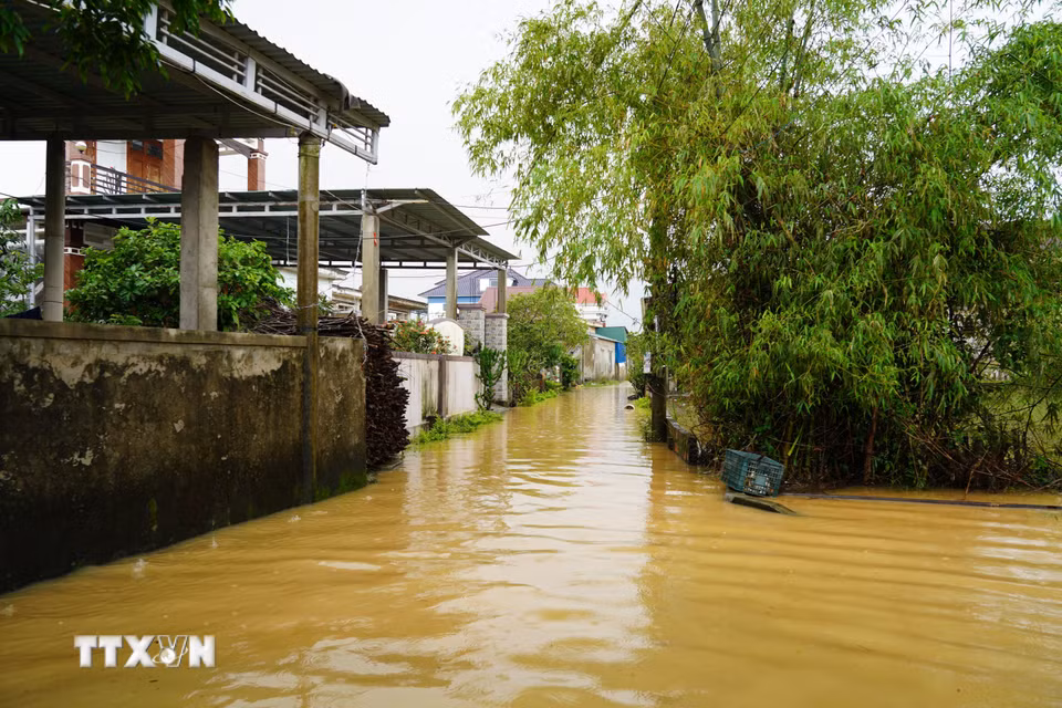 Hệ thống đường giao thông của thôn Tiền Phong, xã Bắc Trạch, bị ngập sâu trong nước. (Ảnh: Thanh Thủy/TTXVN)