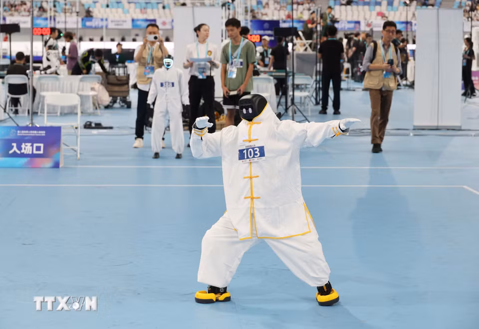 Các robot tham gia biểu diễn môn võ thái cực quyền. (Ảnh: Công Tuyên/TTXVN)