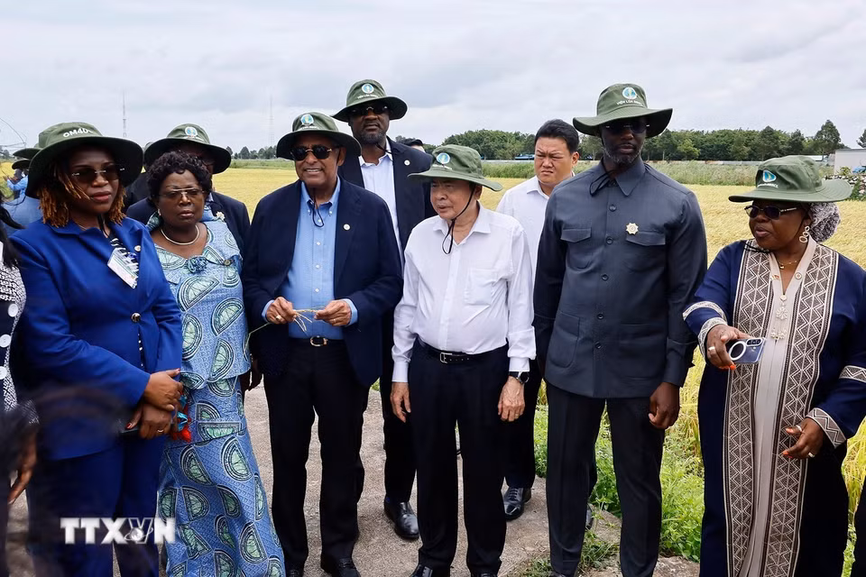 Chủ tịch Quốc hội Trần Thanh Mẫn và Chủ tịch Quốc hội Cộng hòa Côte d’Ivoire Patrick Achi thăm cánh đồng trình diễn giống lúa triển vọng vụ Hè-Thu 2026. (Ảnh: Doãn Tấn/TTXVN)