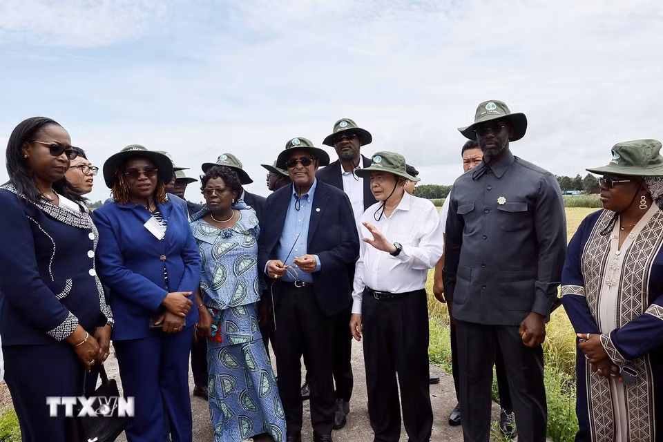 Chủ tịch Quốc hội Trần Thanh Mẫn và Chủ tịch Quốc hội Cộng hòa Côte d’Ivoire Patrick Achi thăm cánh đồng trình diễn giống lúa triển vọng vụ Hè-Thu 2026. (Ảnh: Doãn Tấn/TTXVN)