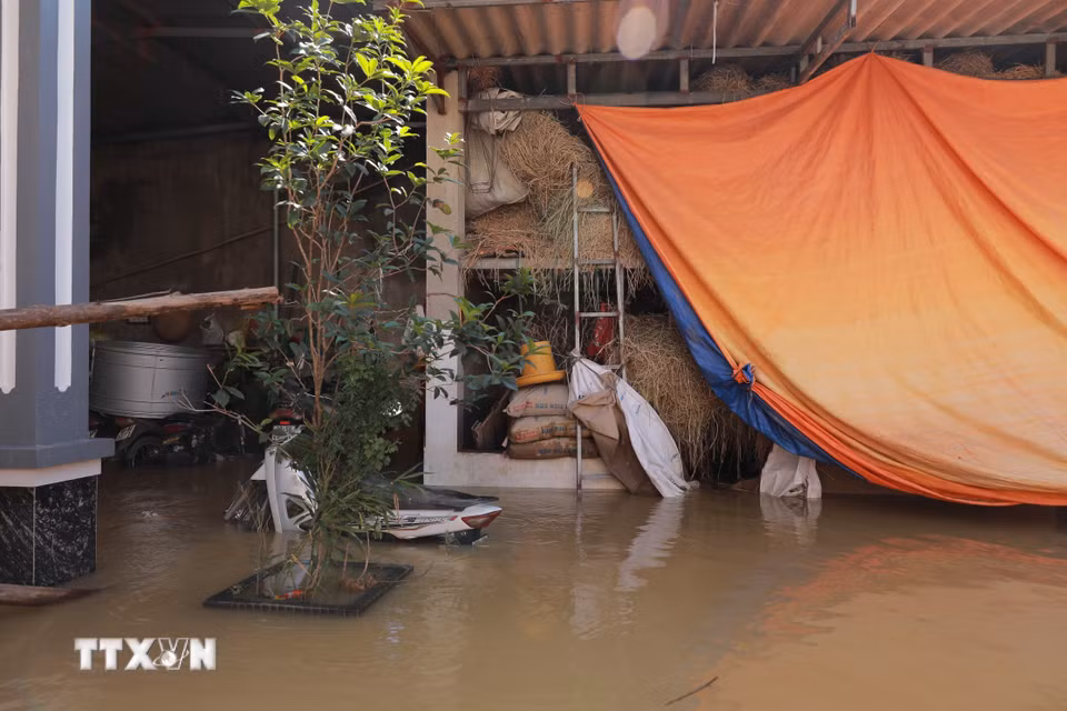 Tài sản của người dân xóm 1, thôn Đa Hội, xã Hợp Thịnh ngập trong nước nhiều ngày qua. (Ảnh: Phan Phương/TTXVN)