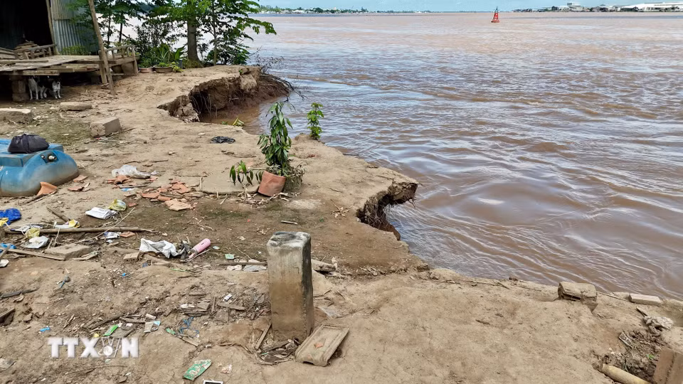 Vết sạt ăn sâu vào đất liền khoảng 7m, áp sát tuyến đường giao thông, gây nguy hiểm cho người và phương tiện. (Ảnh: Thanh Sang/TTXVN)