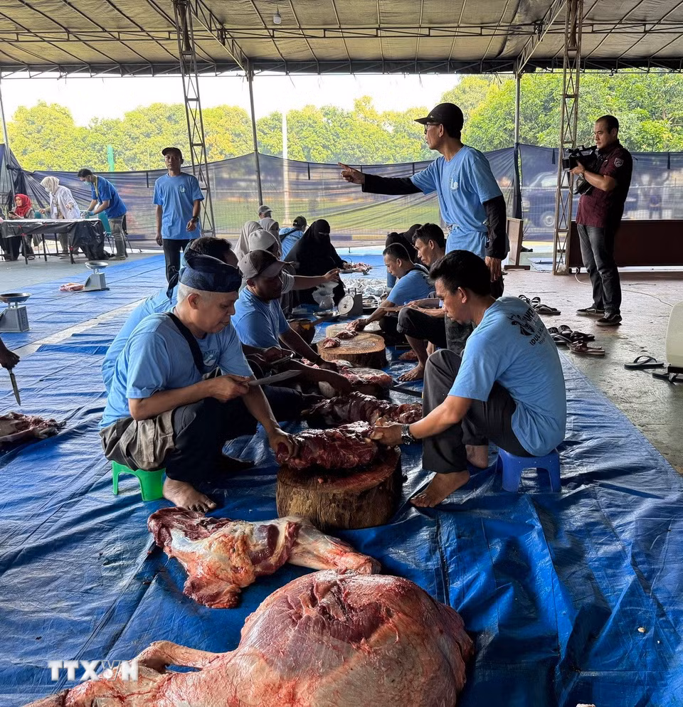 Đội tình nguyện thực hiện việc chia thịt thành từng suất 1-2kg để chia cho người nghèo. (Ảnh: Đỗ Quyên/TTXVN)