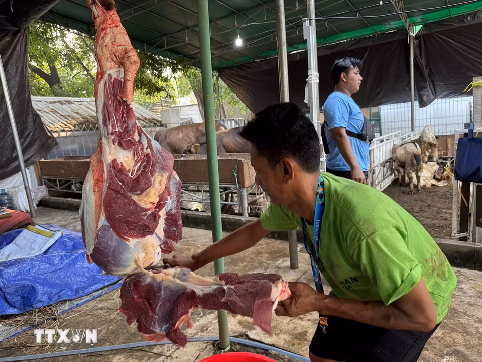 Một tình nguyện thực hiện việc chia thịt. (Ảnh: Đỗ Quyên/TTXVN)