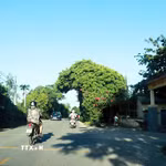 Tỉnh lộ 579 từ nút giao với đường Hùng Vương nối dài, đến Quốc lộ 1A dài khoảng hơn 2km, mặt đường nhỏ hẹp chỉ một làn xe mỗi bên, có nhiều khúc cua quanh co, bên đường có nhiều nhà ở và trường học. (Ảnh: Tường Vi/TTXVN)