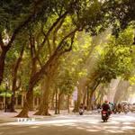 (Ảnh minh họa. Khánh Hòa/TTXVN)