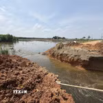 UBND xã Yên Phú (Thanh Hóa) đã cắt 1 đoạn đường thôn để thoát nước cứu diện tích dứa bị ngập úng. (Ảnh: Hoa Mai/TTXVN)