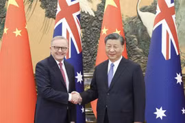 Thủ tướng Australia Anthony Albanese (trái) trong cuộc gặp Chủ tịch Trung Quốc Tập Cận Bình tại Đại Lễ đường Nhân dân ở Bắc Kinh, ngày 6/11/2023. (Ảnh: THX/TTXVN)
