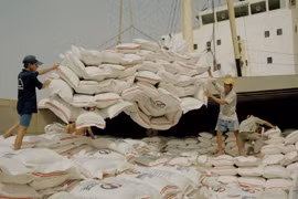 Bốc xếp gạo xuất khẩu tại cảng Sài Gòn. (Ảnh: Đình Huệ/TTXVN)