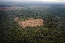 Một khu vực bị tàn phá tại rừng Amazon ở Para, Brazil ngày 14/10/2014. (Nguồn: AFP/TTXVN)