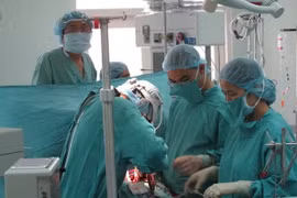 (Ảnh minh họa. Quốc Việt/TTXVN)