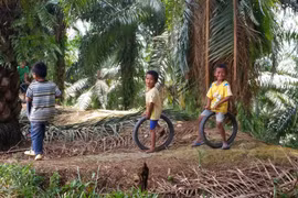 (Ảnh minh họa. Nguồn: aljazeera.com)