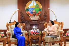 Chủ tịch Quốc hội Lào Pany Yathotou tiếp bà Võ Thị Dung, Phó Bí thư Thành ủy. (Ảnh: Phạm Kiên/TTXVN)