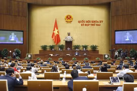 Cử tri Đà Nẵng quan tâm vấn đề an sinh xã hội và chất lượng giáo dục
