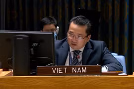 Việt Nam đề cao tầm quan trọng của việc bầu cử đúng thời hạn ở Libya