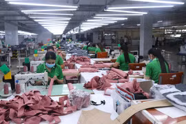 Chính phủ cần thiết kế gói hỗ trợ cho doanh nghiệp phục hồi và bứt phá