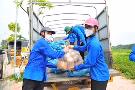 Dịch COVID-19: Hà Nội không để thiếu hàng hóa phục vụ người dân