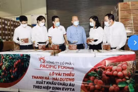 Vải thiều chinh phục thị trường EU, mở rộng thương hiệu nông sản Việt