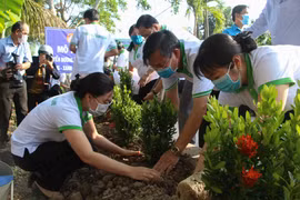 Kiên Giang triển khai hoạt động vì môi trường, phục hồi hệ sinh thái