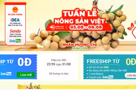 Nhãn lồng Hưng Yên từng bước lên sàn thương mại điện tử