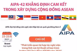 [Infographics] AIPA-42 khẳng định cam kết về xây dựng Cộng đồng ASEAN