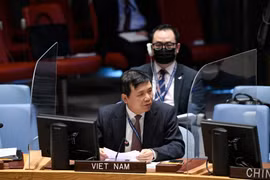 Đại sứ, Trưởng phái đoàn Việt Nam Đặng Đình Quý tại phiên họp. (Ảnh: Khắc Hiếu/TTXVN)