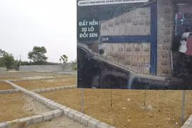 Hà Nội chưa có quy hoạch thật nhưng đất đã "sốt" do "cò thổi giá"