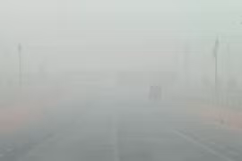 [Video] Thủ đô New Delhi của Ấn Độ mù mịt trong bụi mịn PM 2.5