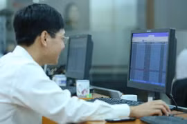 Ảnh minh họa. Nguồn: PV/Vietnam+)