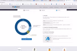 Trang web giới thiệu ví điện tử và tiền ảo Paya được thanh toán tại châu Á. (Ảnh chụp màn hình)
