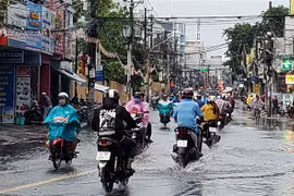 Ảnh minh họa. (Nguồn: Xuân Dự/TTXVN)