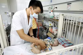 Ảnh minh họa. (Nguồn: Dương Ngọc/TTXVN)