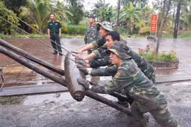 Vận chuyển bom, mìn đến điểm hủy nổ. (Ảnh: Thanh Sang/TTXVN)