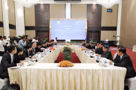 Quang cảnh phiên họp toàn thể. (Ảnh: PV/Vietnam+)